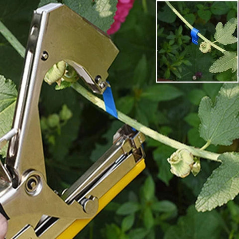 Attache plante innovant