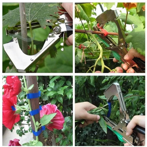 Attache plante innovant