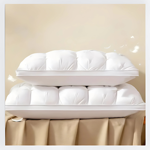 Duvéa™ - Oreiller en duvet d'oie de luxe