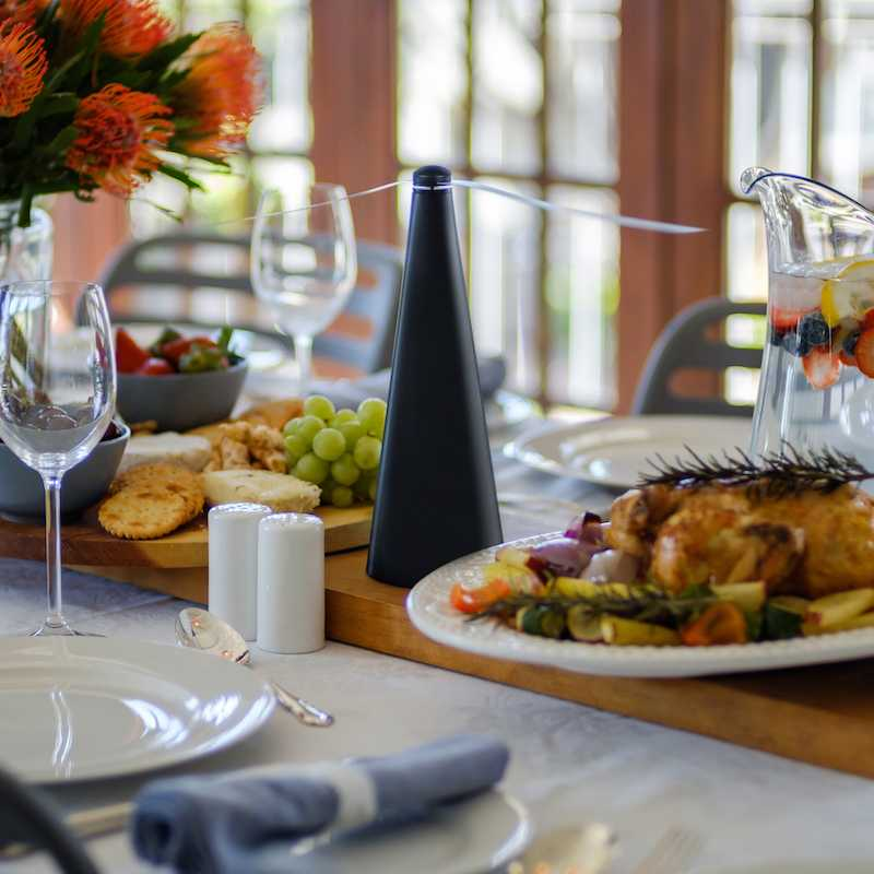 Ventilateur Anti Insectes