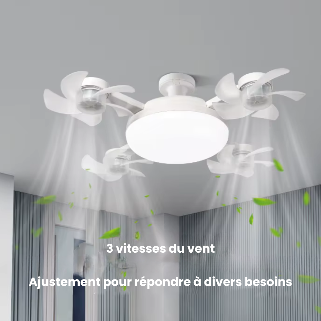 BriseLumi™ – La lumière qui rafraîchit vos soirées