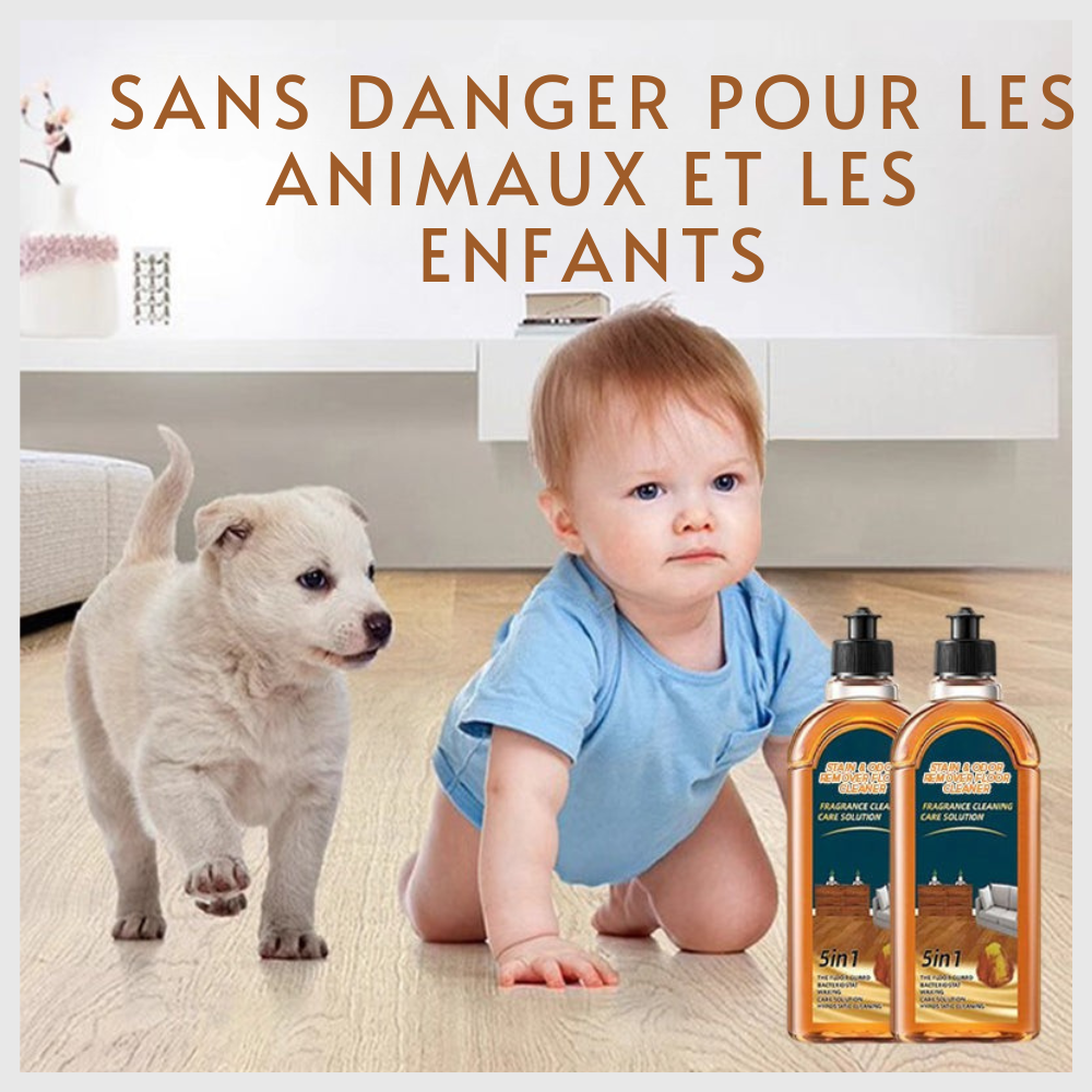 Brillantage – Ensemble 2 Bouteilles Soin Protecteur pour Bois