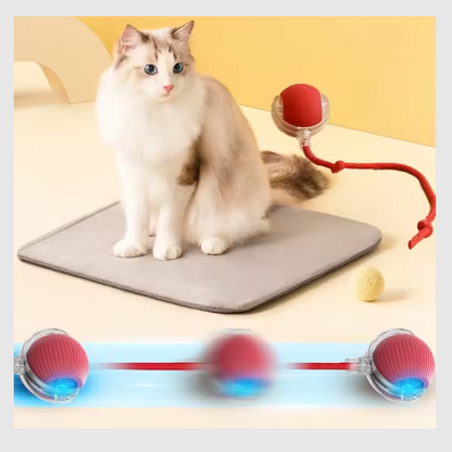 RolliePet™-Balle jouet interactive intelligente