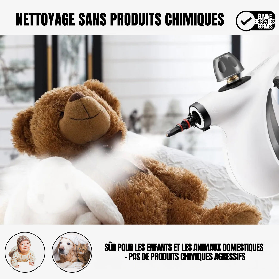 Nettoyeur vapeur portable à main