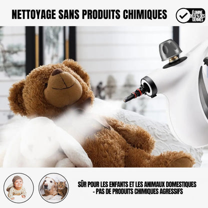 Nettoyeur vapeur portable à main