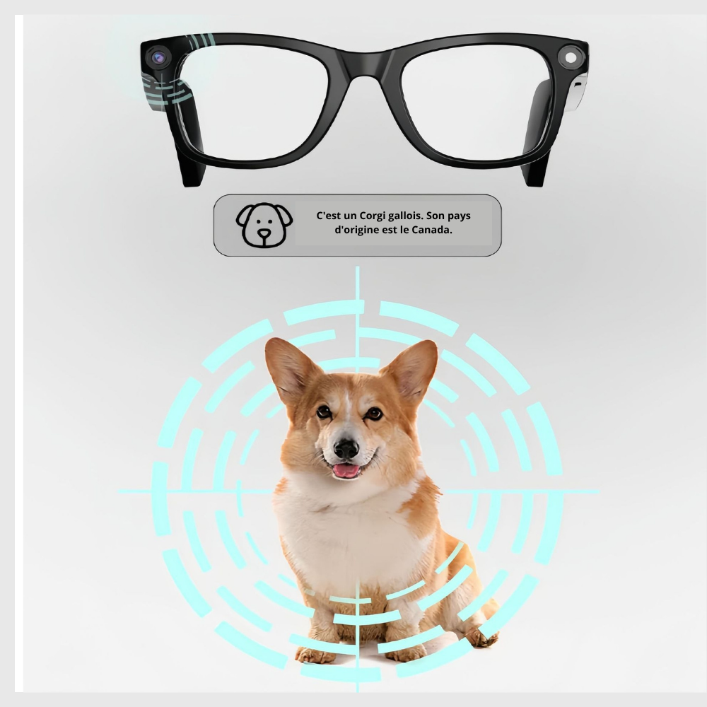 VisionPro™ – Lunettes Connectées IA