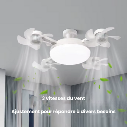 BriseLumi™ – La lumière qui rafraîchit vos soirées