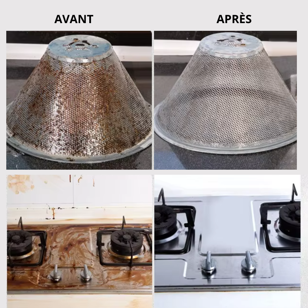 EcoSteam™ – Nettoyeur à Vapeur Multifonctions