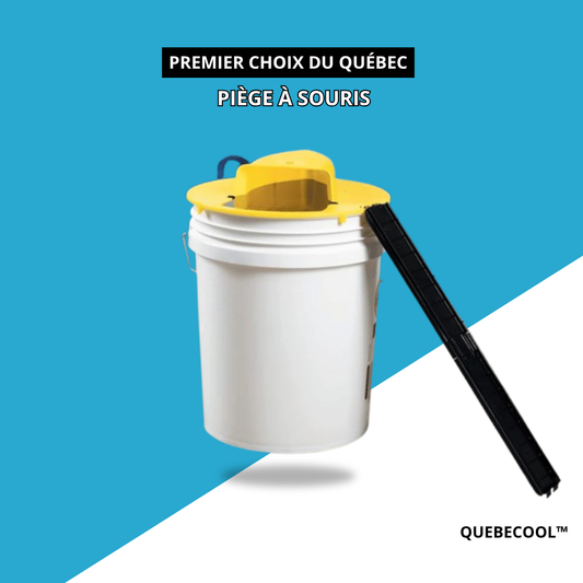 Piège à souris