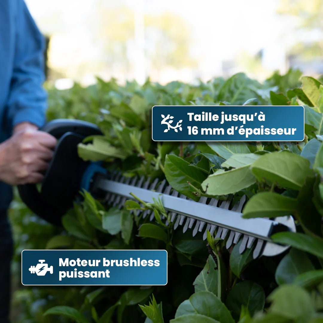 TrimFlex™ – Taille-Haie Sans Fil 21V