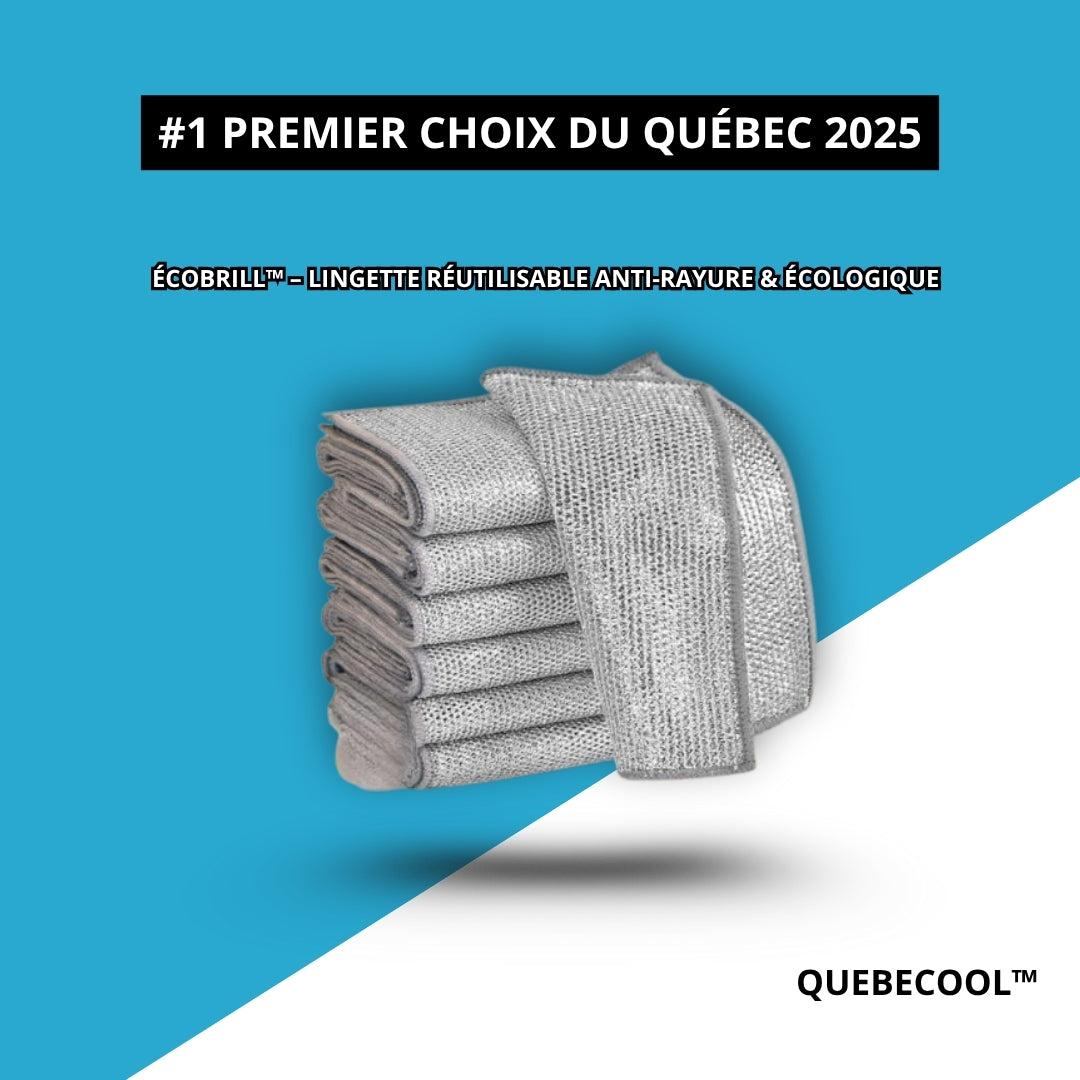 Charger la vidéo : 