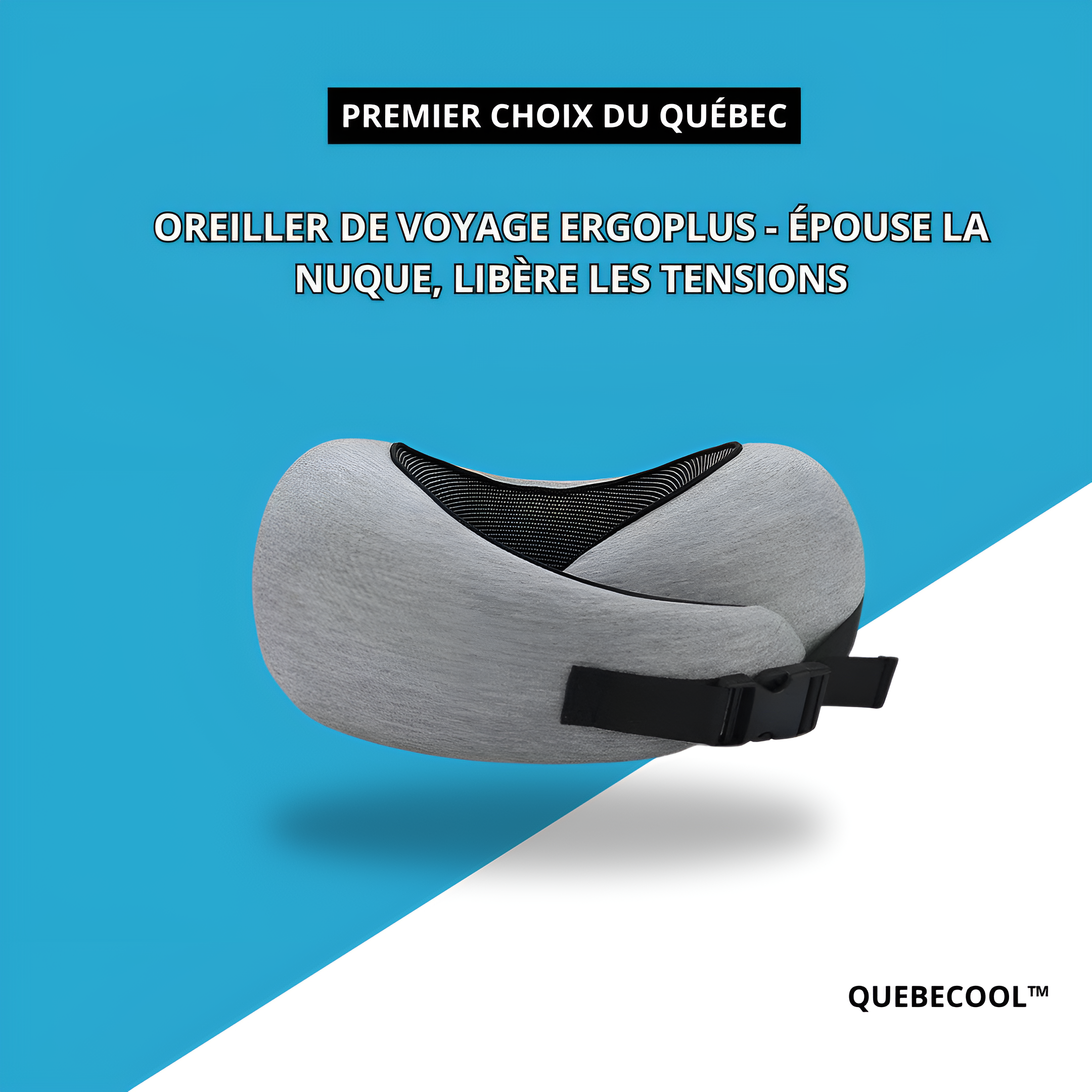 Charger la vidéo : 