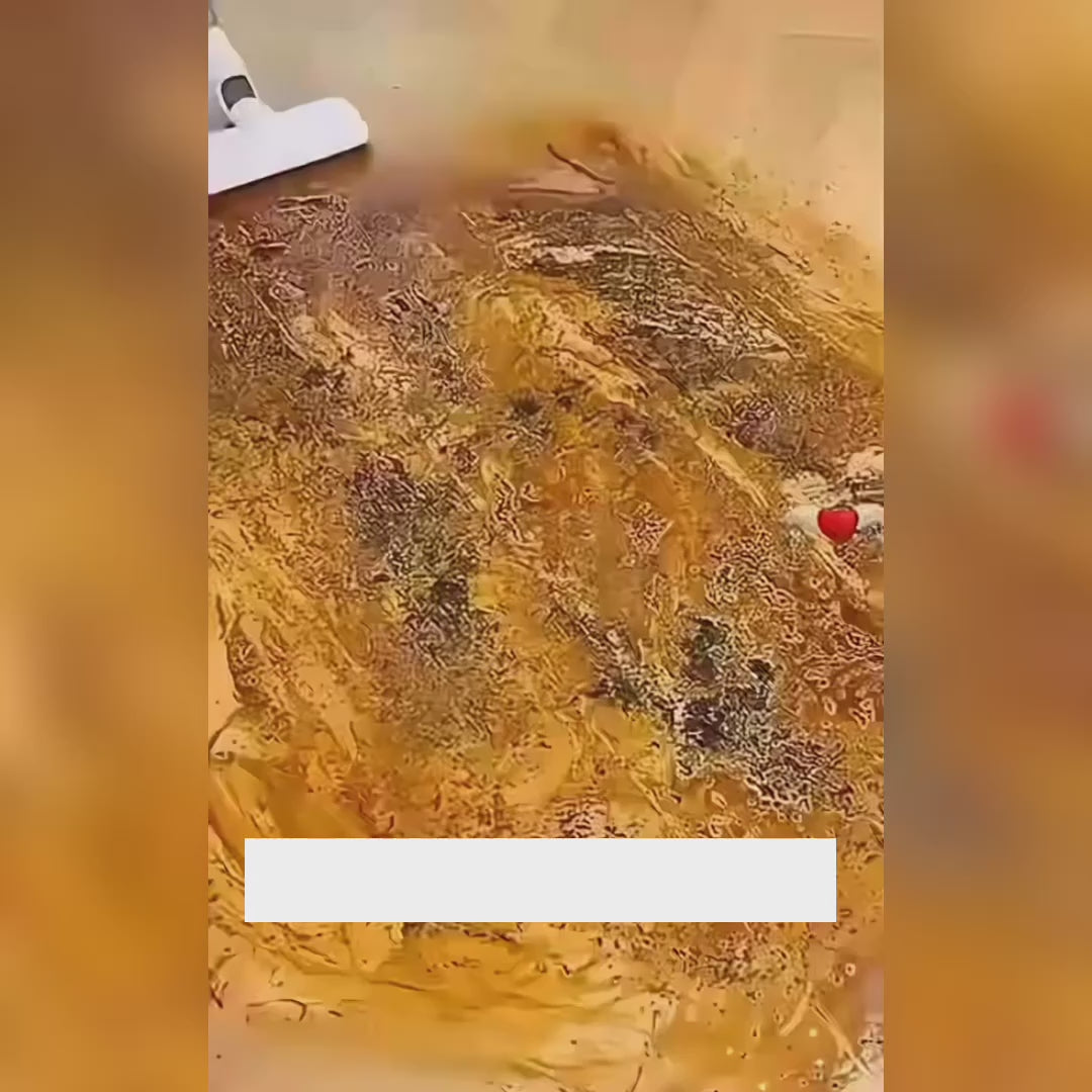 Charger la vidéo : 